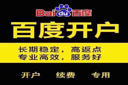 百度推广返点揭秘：真实案例分析